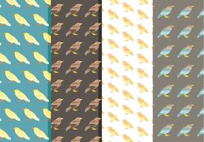 Vector Watercolor Bird Patterns