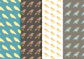 Vector Watercolor Bird Patterns