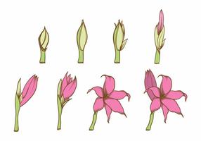 Grow Up Flower Plant Set vector