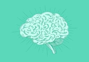 Bright Hand Drawn Brain Vector