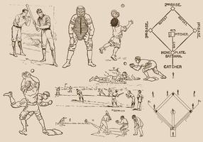 Baseball Drawings vector