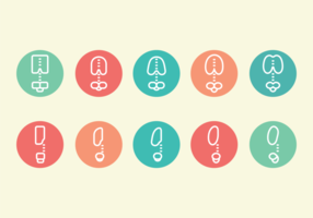 Ribcage Pictogram Icons vector