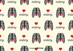 Rib Cage Background Vector