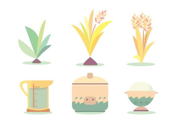 Rice Cook Cycle Vector Set