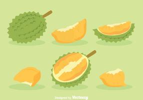 Durian Frutas Vector