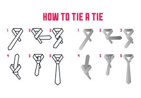 How To Tie Vector Instructios