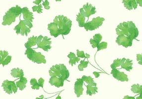 Cilantro Vector Set