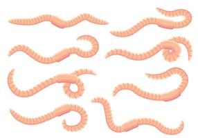 Earthworm Vectors