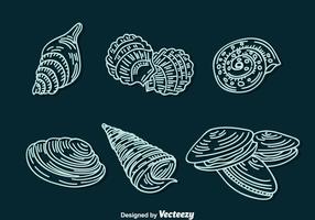 Shell Line Icons Vector