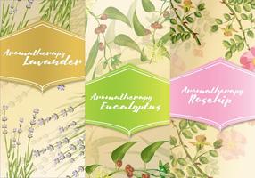 Three Aromatherapy Cards vector