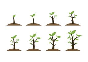 Iconos libres de la planta del crecimiento para arriba vector