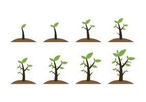 Free Grow Up Plant Icons vector