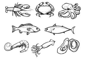 Seafood Vectors