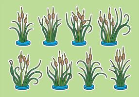 Cattails Free Vector Art - (3,094 Free Downloads)