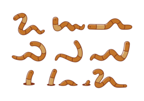 Earthworm Cartoons vector