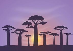 Baobab libre de antecedentes Vector