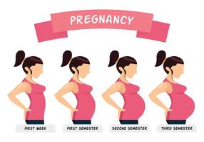 Pregnancy Illustration