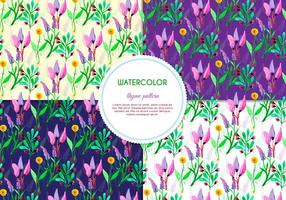 Purple Flower and Thyme Vector Patterns