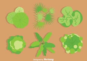 Green Tree Tops Vector Set