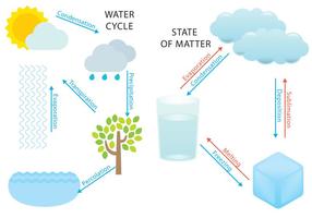 Water Cycle And States vector