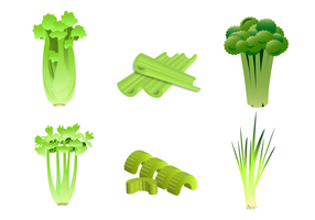 Free Celery Vector