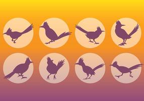 Free Roadrunner Icons Vector