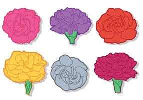 Carnation Vector