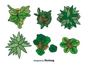 Plant On Pot Top View Collection Vector