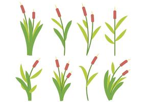 Free Cattails Icon Vector