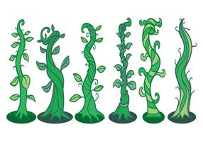 Beanstalk Vector