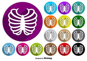 Rib Cage Icon Colorful Buttons Vector Set
