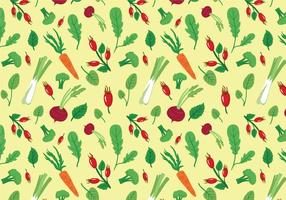 Vegetables  Herbs Pattern Vectors