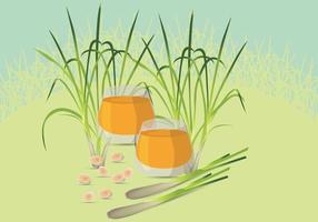 Free Lemongrass Illustration vector
