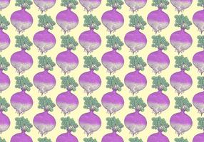 Rutabaga Vegetable Pattern vector