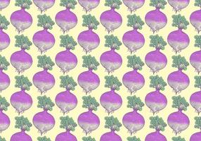 Rutabaga Vegetable Pattern vector