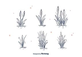 Hand Drawn Cattails Vector