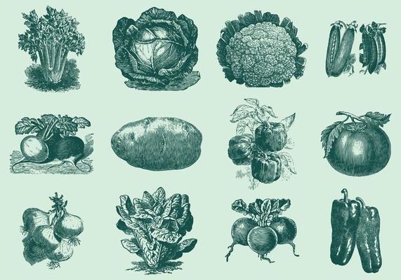 Vintage Vegetables