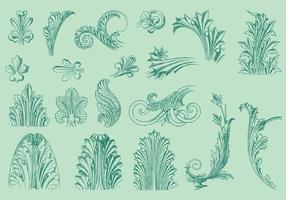 Línea fina Acanthus Decor vector