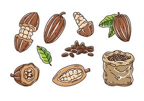 Vector de los granos de cacao