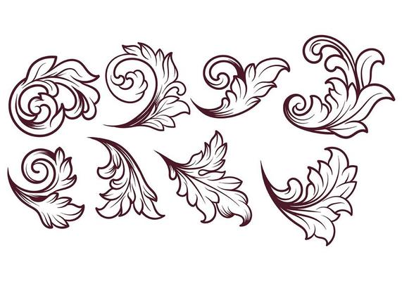 Acanthus Vector