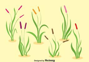 Reeds Collection Vector Set