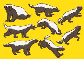 Honey Badger Cartoon vector