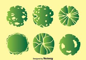 Plant On Pot Top View Collection Vector