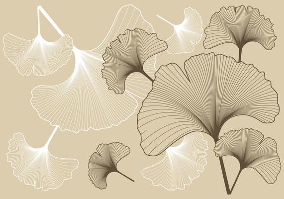Ginko Pattern Background