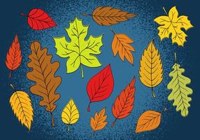 Colorful Autumn Leaves vector