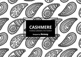 Beautiful Cashmere Pattern  vector