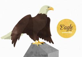 Acuarela libre Eagle Vector