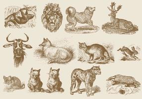 Sepia Mammal Illustrations vector