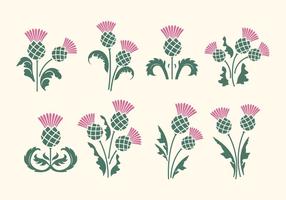 Free Thistle Vector