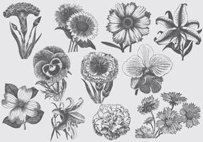 Vintage Flowers vector